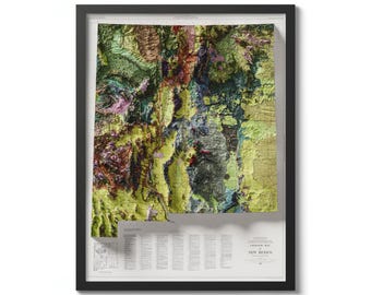 May include: A framed topographic map of New Mexico featuring a detailed relief map of the state's terrain. The map is printed in shades of green, brown, and yellow, with a legend and title at the bottom.