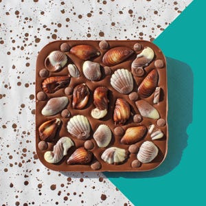 May include: A square milk chocolate bar decorated with various seashell-shaped chocolates and chocolate chips. The seashells are in shades of white, brown, and tan. The background is white with brown splatters and a teal corner.