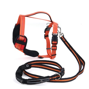 The Bright Leash - Strong Dog Leash - Dog Accessories - Durable Dog Leash - New Dog Gift - Training Leash - Dog Leash