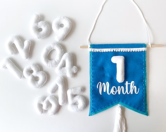 Baby Milestone Felt Banner, Baby Felt pennant, Felt Baby Months Tracker, Baby Monthly Photo banner, Baby Months Felt Sign