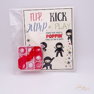 Ninja Party Favor /  Ninja Popit / Birthday Party Pop-it / Ninja Popper / Ninja Birthday Party