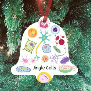 Erlenmeyer Flask Ornament - Fun Science Christmas Tree Ornaments for S -  The Lab Partners Jewelry