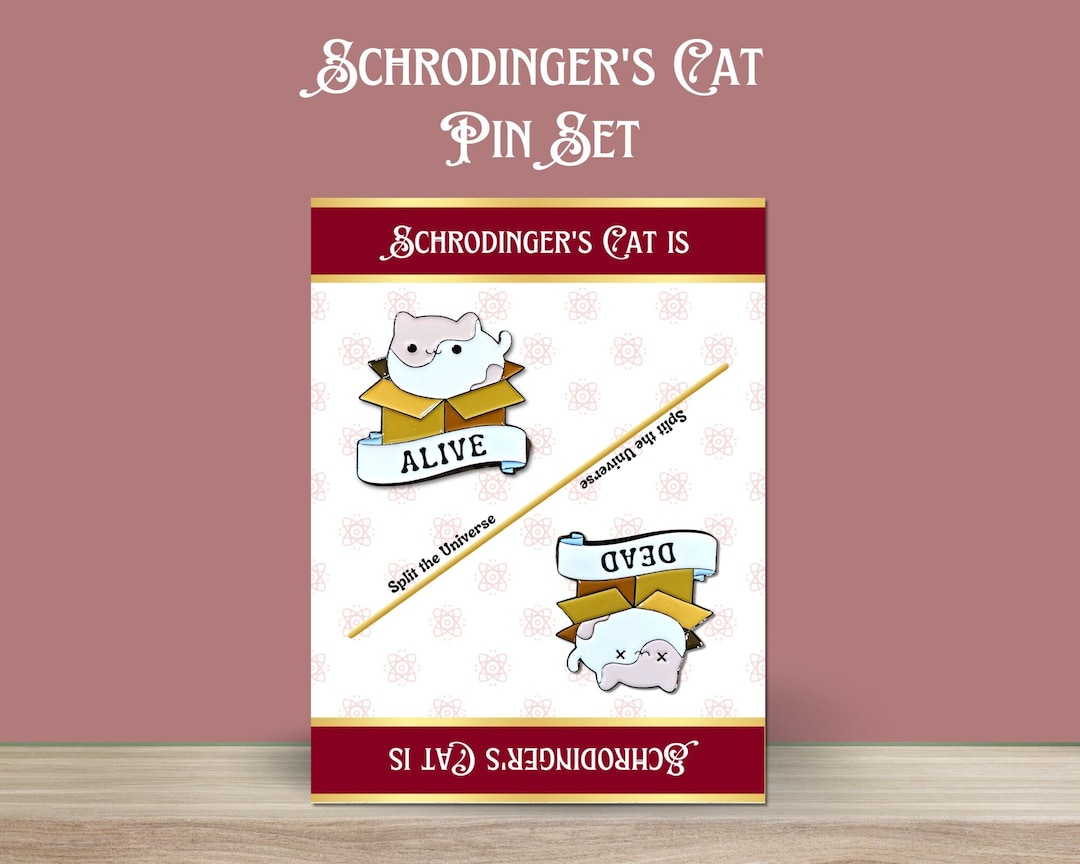 Schrodinger's Cat Two Pin Set, Cute Dead and Alive Cat in a Box Pins ...