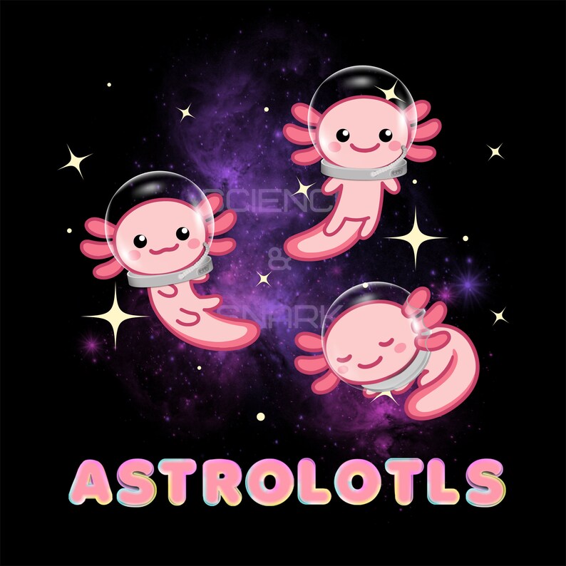 K&ouml;nnte beinhalten: Drei rosa Axolotl, die Astronautenhelme tragen, schweben im Weltraum vor einem lila und schwarzen Galaxie-Hintergrund. Der Text "ASTROLOTLS" ist in rosa, blauen und gelben Buchstaben am unteren Rand des Bildes geschrieben.