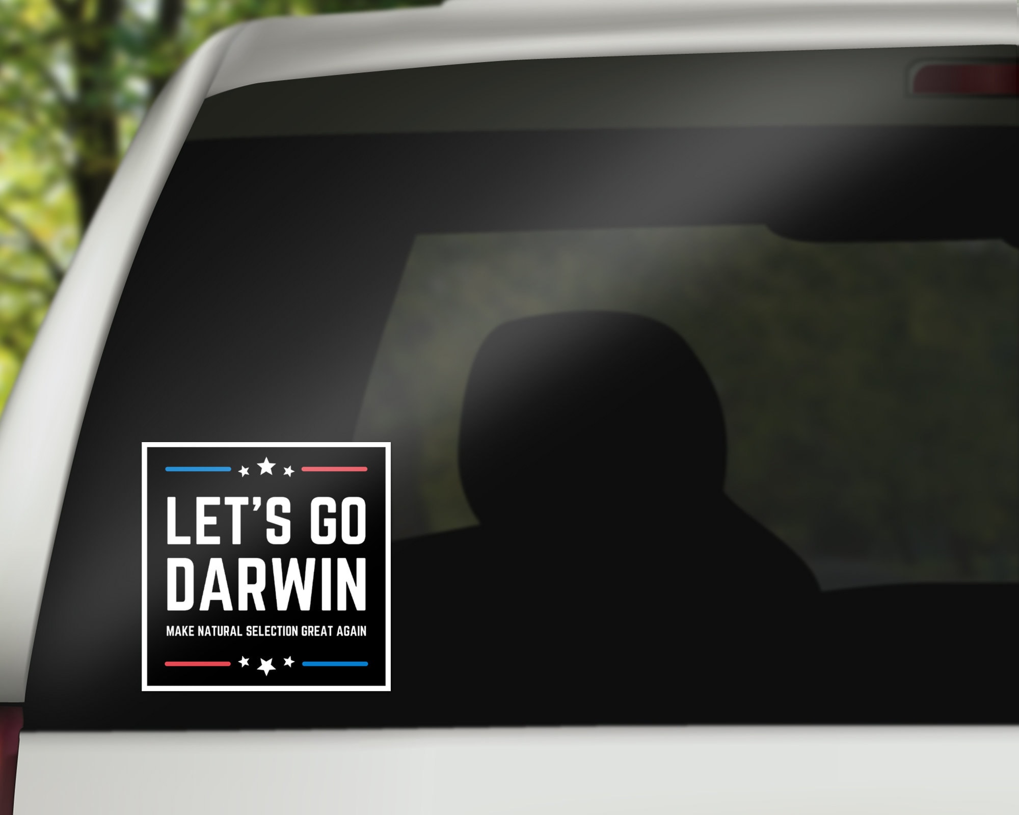 DARWIN Vinyl Decal Sticker Car Window Bumper Wall Laptop 7" 