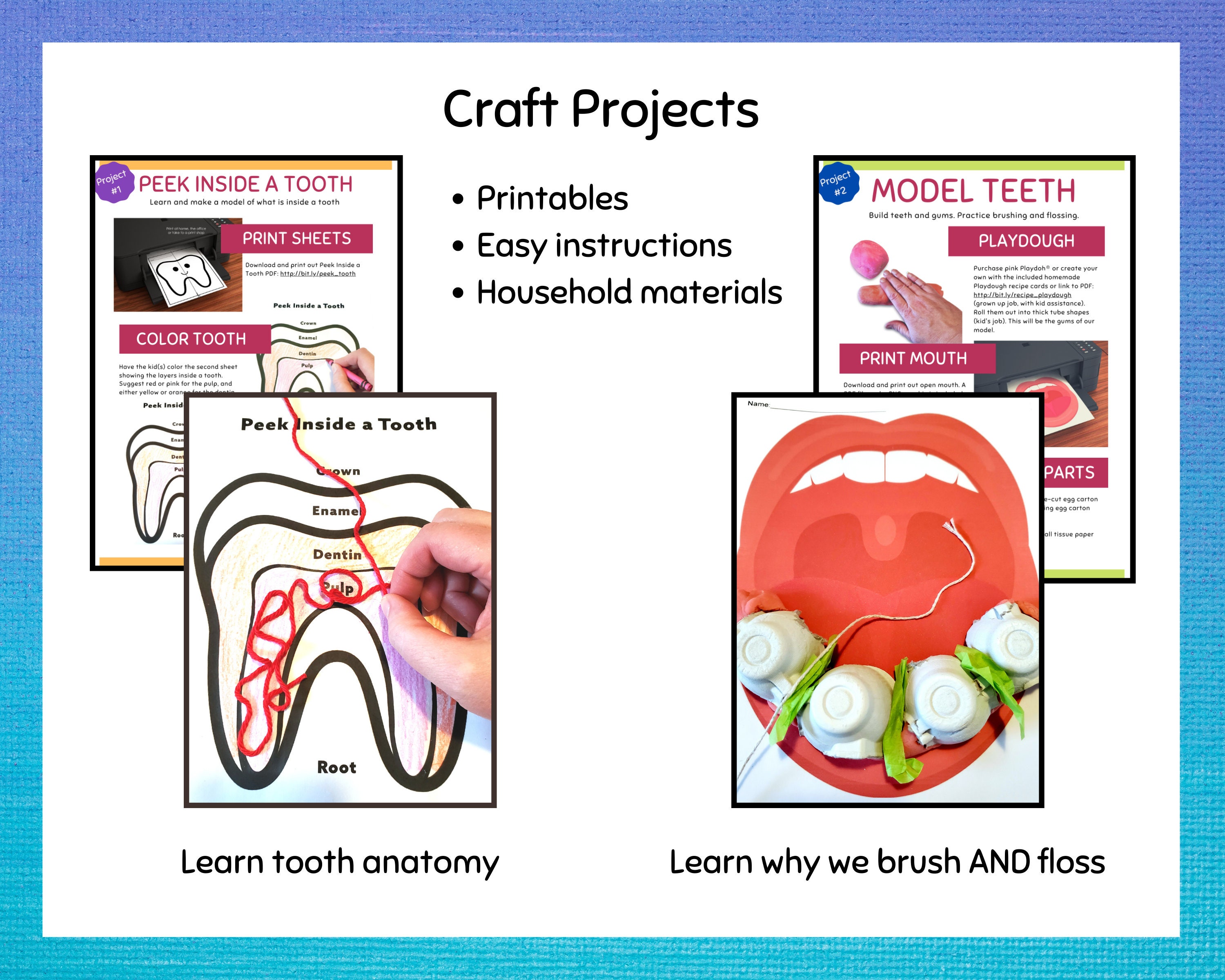 Science Craft Kit for Kids All About Teeth: Two Projects, One Experiment,  Teaching Material, Ages 4 8, Preschool, Kindergarten, 1st Grade 