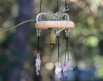 Rose Quartz crystal air plant hanger,  Boho Plant Display,  Cottagecore Airplant Holder