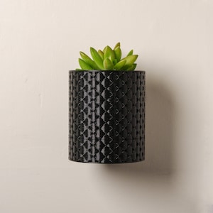 Wall Planter with Drip Tray - Woven