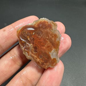 May include: A raw, natural agate stone with a mix of earthy tones. The stone features a blend of reddish-brown, white, and tan colors, with intricate patterns and textures. The agate is held in a hand, showcasing its unique, organic shape and polished surface.