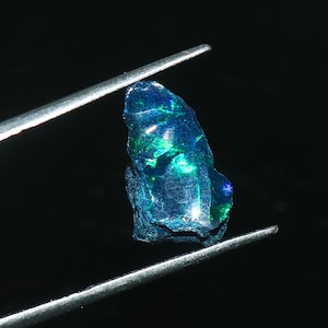 May include: A rough, uncut opal gemstone with a dark blue base colour and flashes of green and blue iridescence. The gemstone is held by silver tweezers against a black background. The opal's surface is textured and irregular.