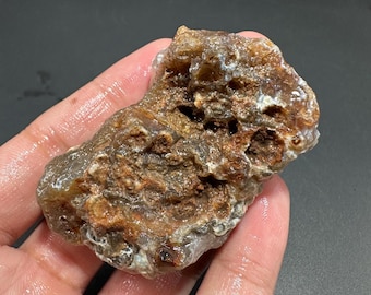 May include: A rough, natural stone with a mix of brown, tan, and white colors. The stone has a textured surface with holes and crevices, and appears to be wet. The overall shape is irregular and organic.