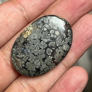 Peut inclure: Une pierre précieuse de pyrite polie de forme ovale. La pierre présente une base gris foncé avec un motif de petites formations argentées en forme de fleur. Une section de la pierre a une teinte brun doré. La pierre est tenue dans une main.
