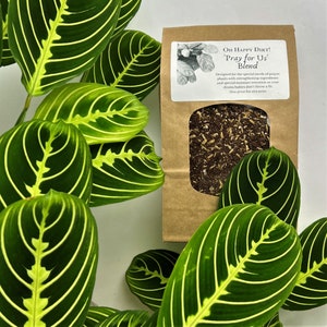 May include: A brown paper bag with a clear window showing a brown soil blend. The bag has a white label with the text "OH HAPPY DIRT! 'Pray for Us' Blend" and a description of the soil blend.