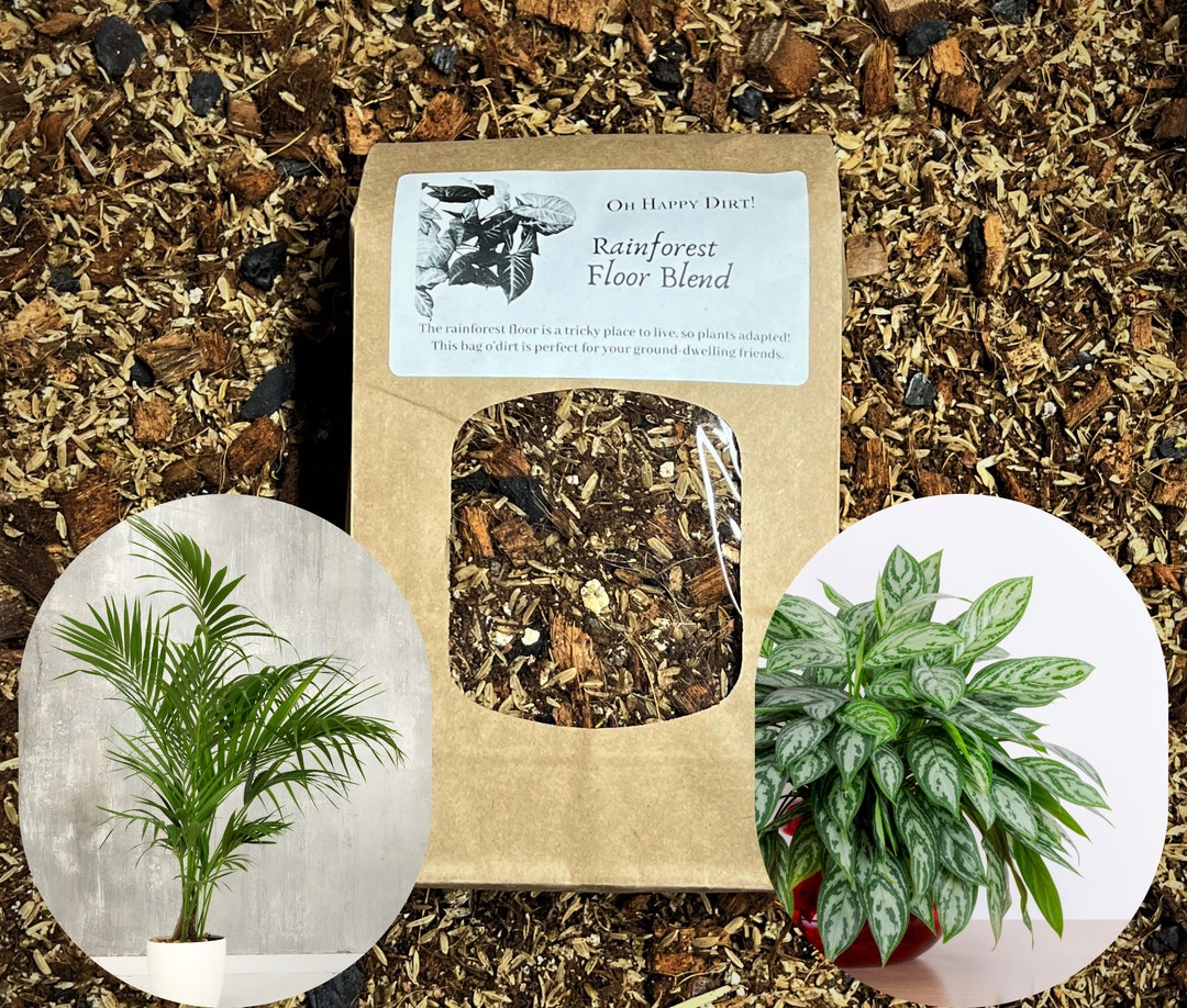 Aroid Soil rainforest Floor Palm Potting Soil Aglaonema Potting Soil