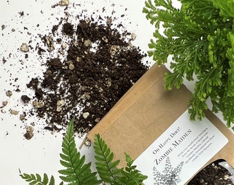 Fern Soil | Zombie Maiden houseplant potting soil | sustainable | carbon-neutral | small batch | magic :)
