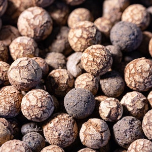 May include: Close-up of a pile of small, brown, textured spheres. The spheres have a rough, uneven surface and appear to be made of a porous material.
