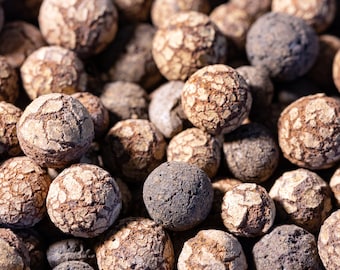 Houseplant Pebbles | Hydroponic | Clay Pebbles | LECA | Semi-Hydro Substrate | HydroTon