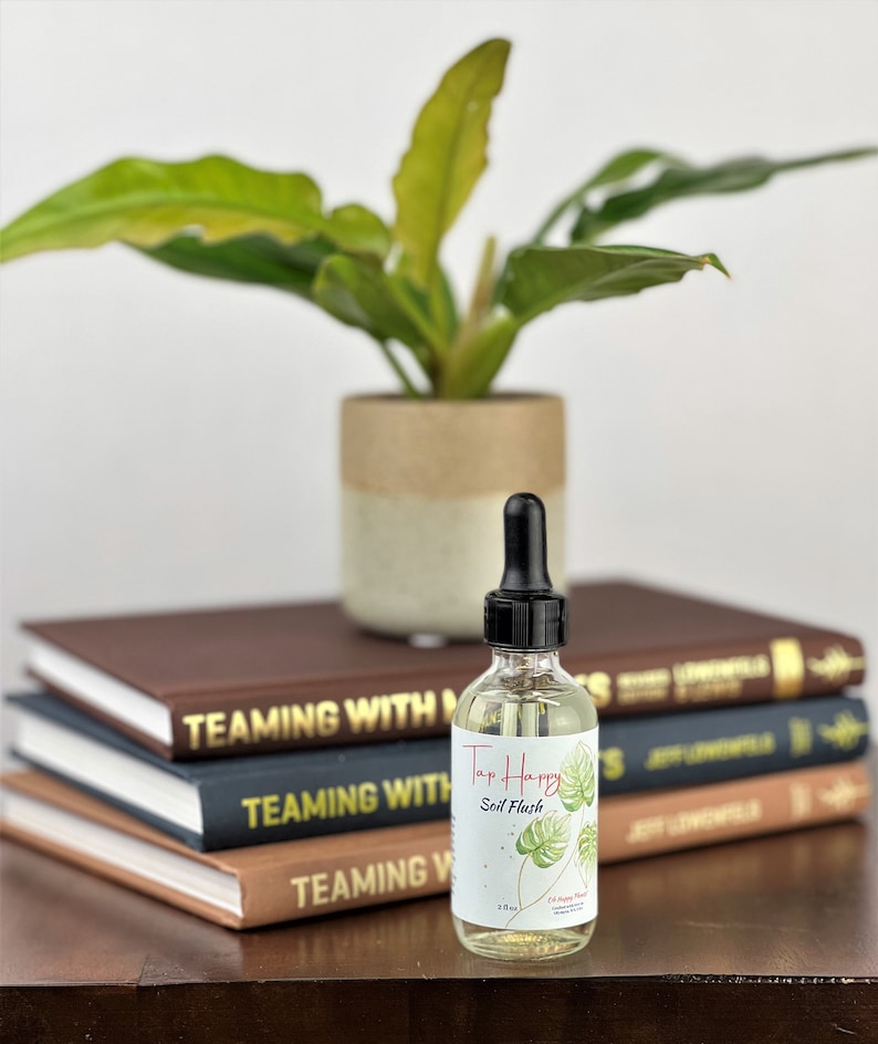 Fertilizer Burn Prevention for Houseplants Chlorine and Chloramine