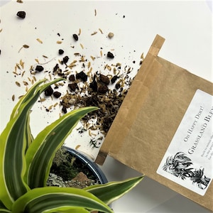 May include: A brown paper bag with a white label that reads "OH HAPPY DIRT! GRASSLAND BLEND" with a palm tree graphic. The bag is spilling out brown soil and small black and brown rocks onto a white surface. A green plant with white stripes is in a blue pot.