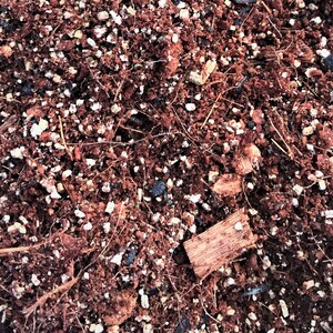 May include: Close-up of a brown potting mix with small white and brown pieces. The mix is made up of bark, coconut coir, and other organic materials.