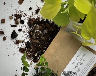 Aroid Potting Soil (Tropical Climber Blend) | Chunky Potting Soil | Chunky Potting Mix | Anthurium Potting Soil | Ficus Potting Soil