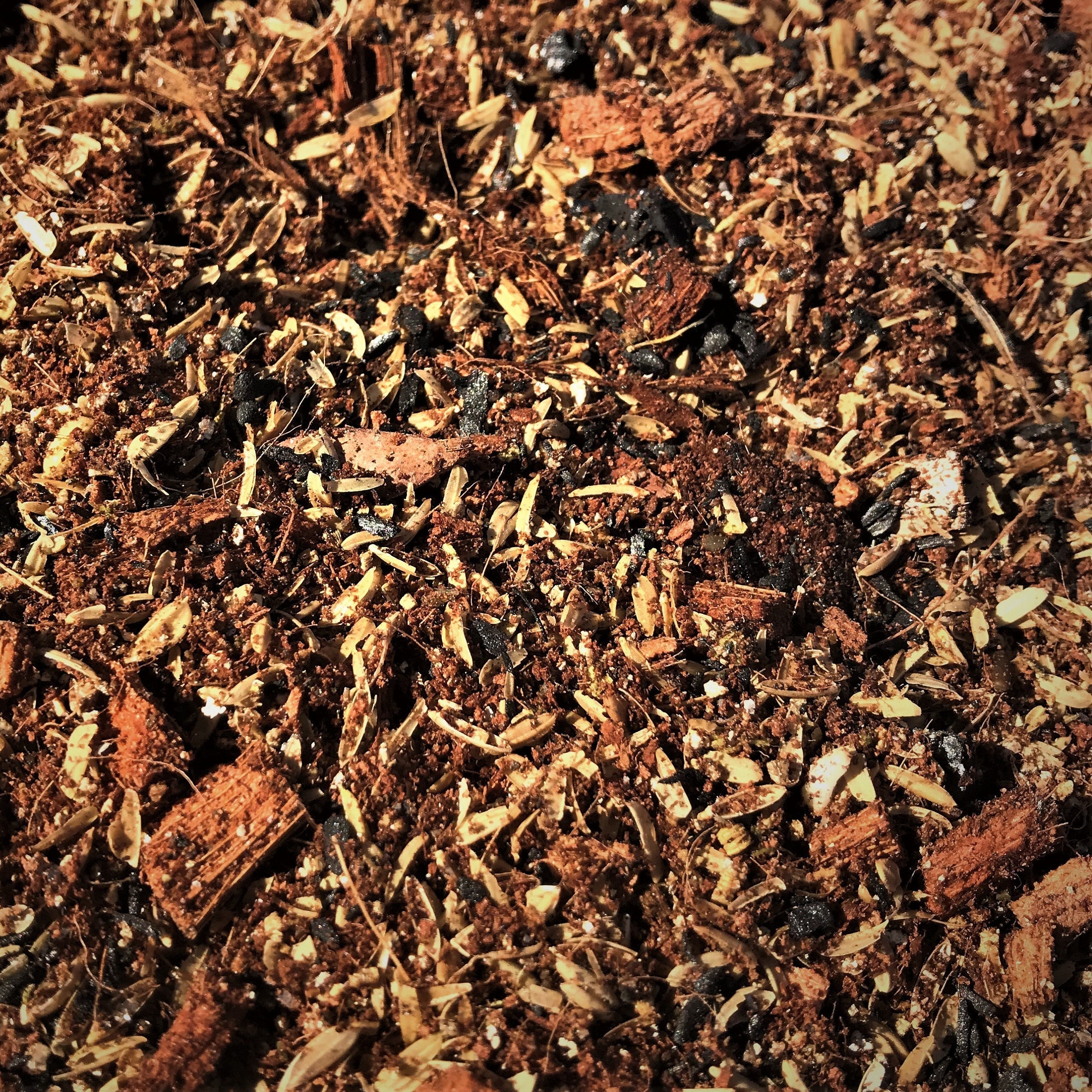 Bird of Paradise Soil rainforest Floor Blend Aroid Potting Soil Aroid Soil Chunky Potting Soil