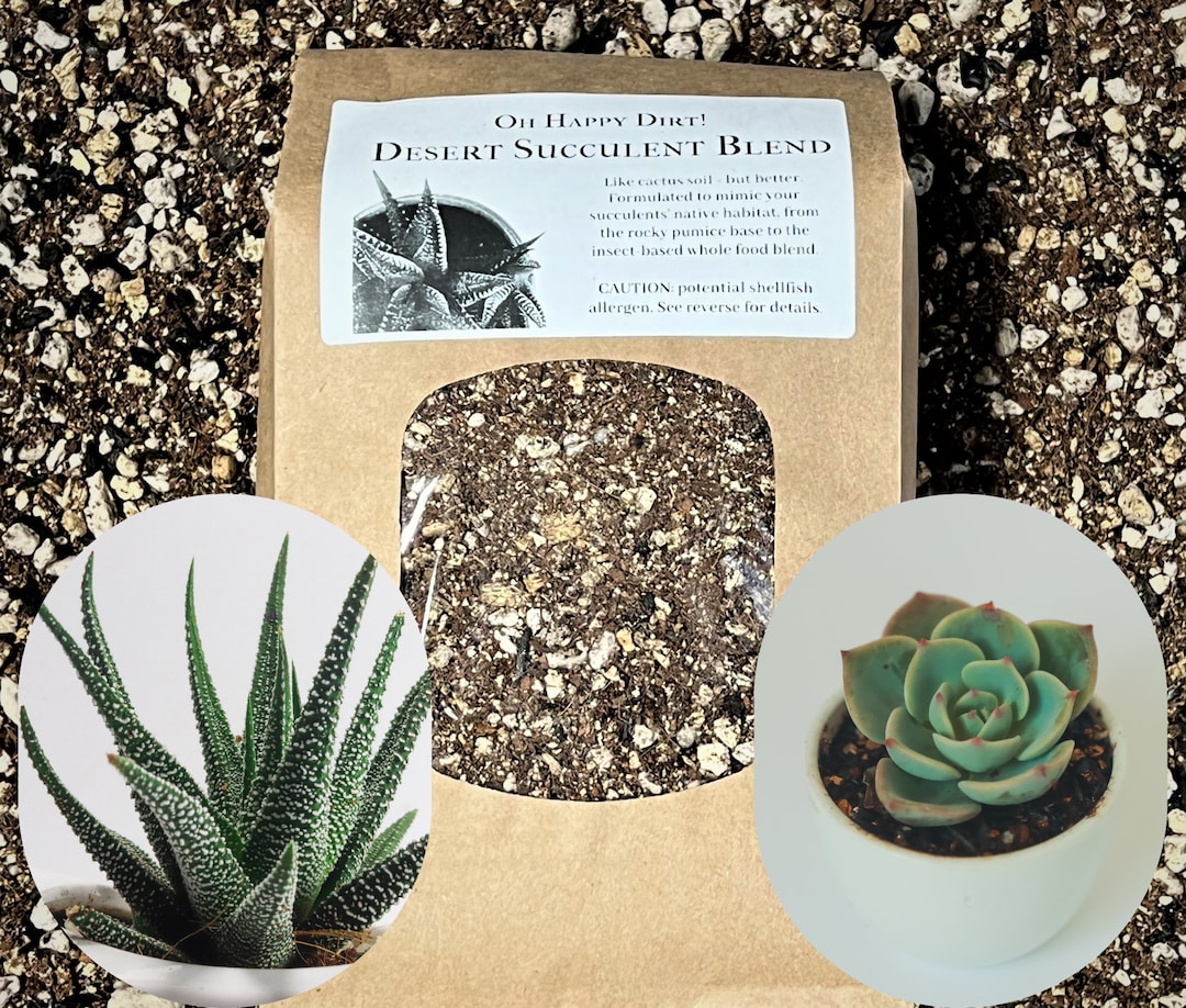 Desert Succulent Soil | GRITTY Potting Mix | Succulent Potting Mix ...
