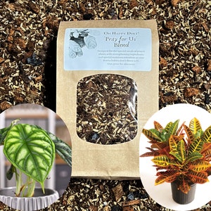 Croton Potting Soil (pray for Us Blend) | Prayer Plant Soil | Aroid Soil  Mix | Calathea Soil | Alocasia Soil | Peat-free Soil | Maranta Soil - Etsy