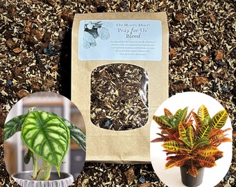 Croton Potting Soil (pray for Us Blend) | Prayer Plant Soil | Aroid Soil  Mix | Calathea Soil | Alocasia Soil | Peat-free Soil | Maranta Soil - Etsy