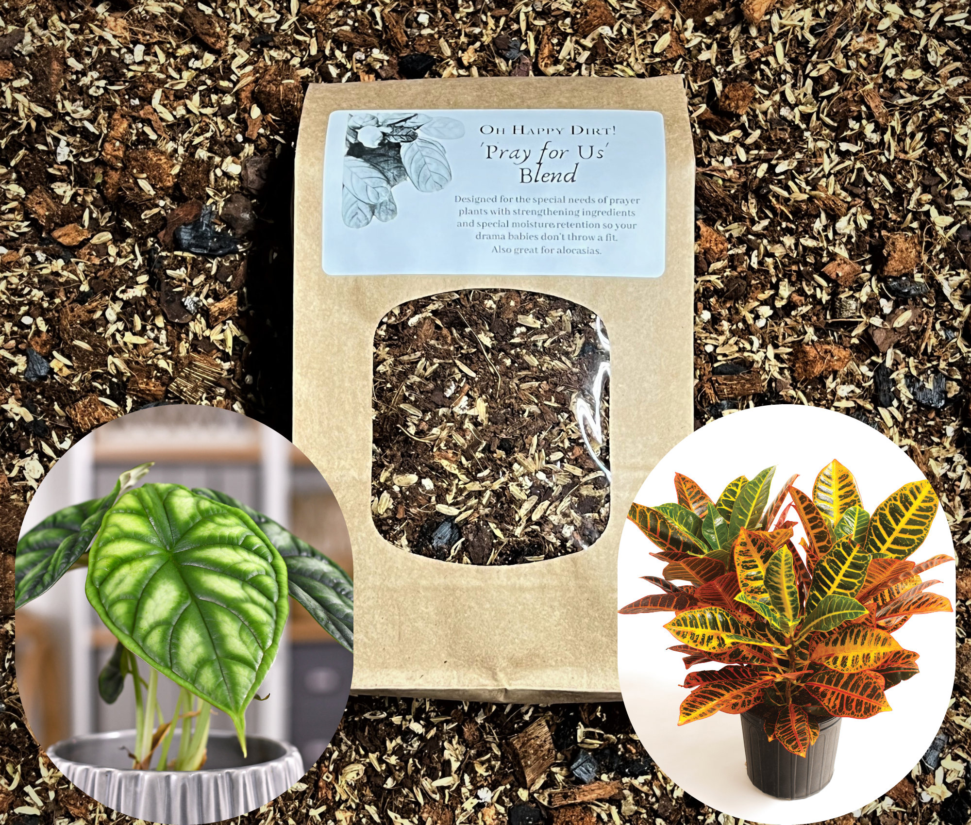 Calathea Potting Soil pray for Us Blend Prayer Plant Soil Etsy