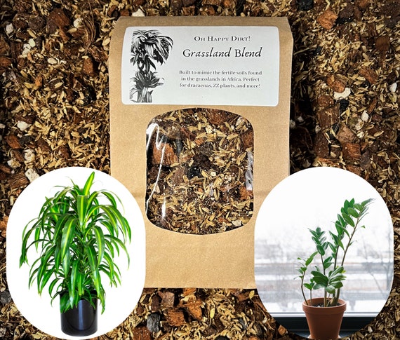 Dracaena Soil Mix (grassland Blend) | Dracaena Potting Soil | ZZ Potting  Soil | Zamioculcas Potting Soil | ZZ Plant Soil | ZZ Soil Mix - Etsy Israel