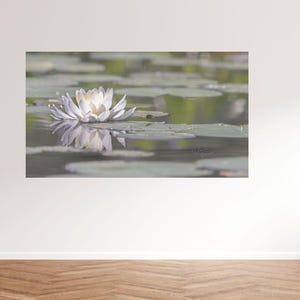 May include: A white water lily with yellow center floats on a pond, surrounded by lily pads. The flower's reflection is visible in the water, creating a symmetrical image. The scene is soft and serene.