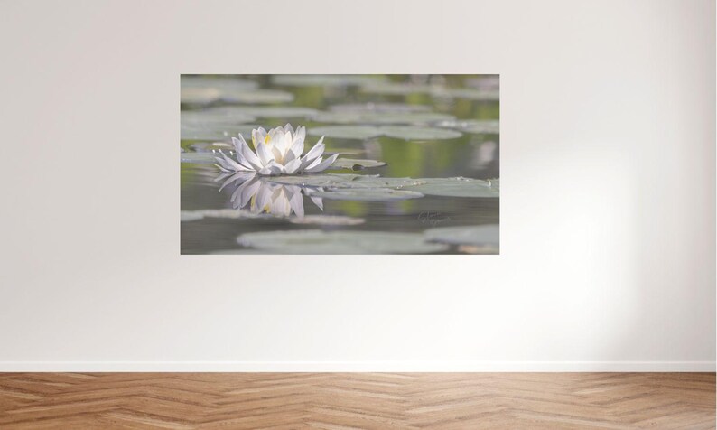 May include: A white water lily with yellow center floats on a pond, surrounded by lily pads. The flower's reflection is visible in the water, creating a symmetrical image. The scene is soft and serene.