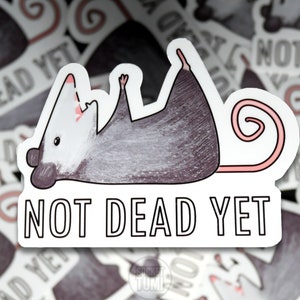 Holographische Opossum Aufkleber, lustige Tier Vinyl Aufkleber, motivierende Aufkleber für Laptop, Opossum Geschenke für Freund, Tierliebhaber Kunst Geschenk
