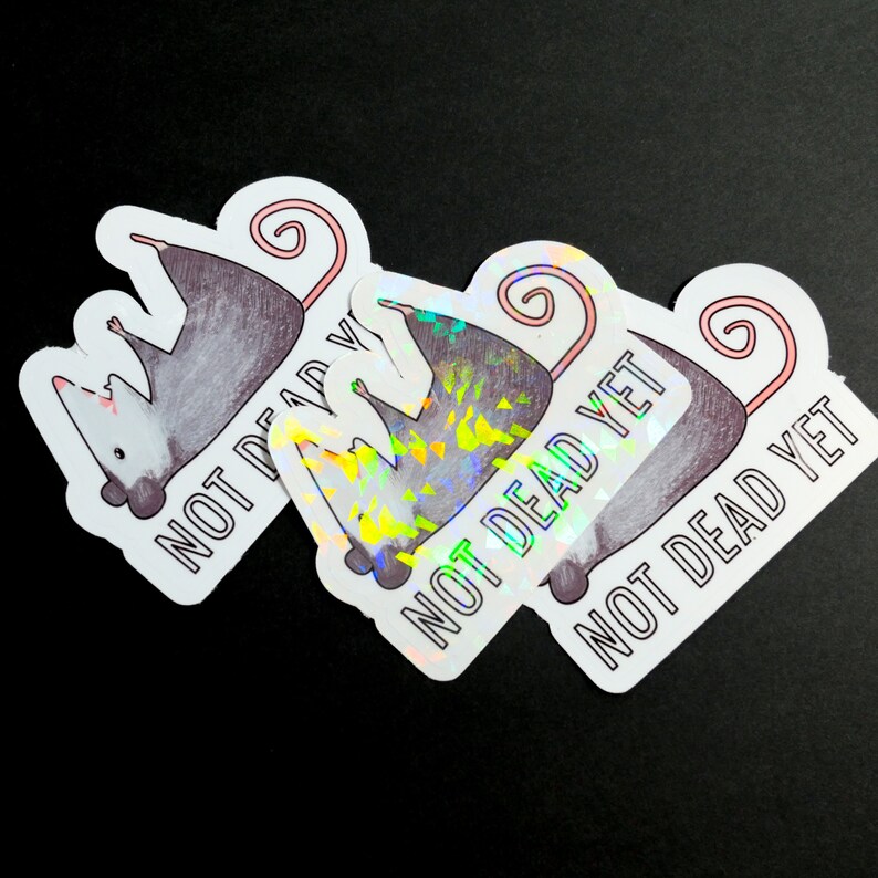 May include: Three stickers featuring a cartoon opossum with the text "Not Dead Yet" in a white, black, and holographic design.