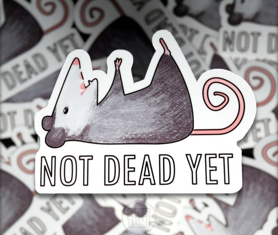 Holographic Opossum Sticker, Funny Animal Vinyl Sticker, Motivational Stickers for Laptop, Opossum gifts for friend, animal lover art gift