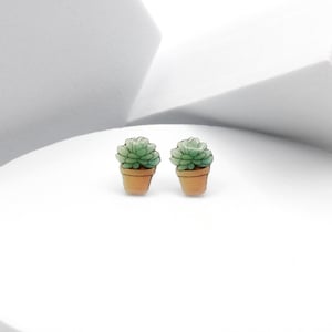 Potted Succulent Earrings, Plant Pot Stud Earrings, Botanical Studs, Gardener Gift, Fashion Accessory, Hypoallergenic Nickel Free Jewelry