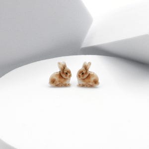 May include: Two small, detailed bunny figurines. The rabbits are light brown with white accents, posed facing each other. They are set against a clean, white background, creating a minimalist aesthetic. The bunnies are likely decorative items.