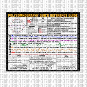 May include: A colourful chart titled "Polysomnography Quick Reference Guide" that explains the different stages of sleep and the associated brain wave patterns. The chart also includes information about sleep disorders such as apnea, hypopnea, and periodic limb movement disorder.