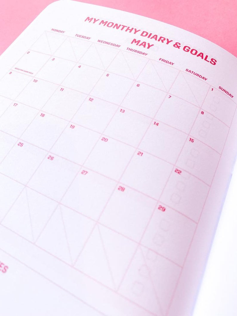 A5 Goal Journal 26 Pages Pink Clouds Background 2024 Goals Diary Planner Habits Gratitudes Exercise image 2