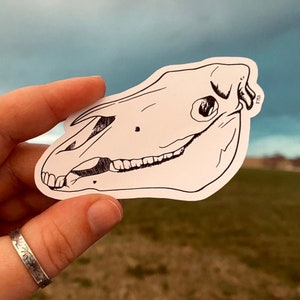 Horse Skull Matte Waterproof Sticker