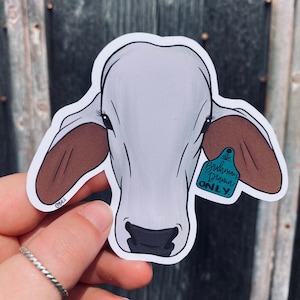 Betsy Brahman Waterproof Cow Sticker
