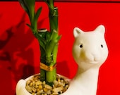 Lucky bamboo beautiful vase for gift valentines