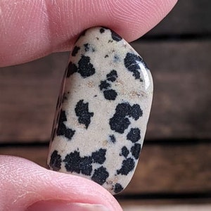 Dalmatian Jasper healing tumble stones Consciously Sourced