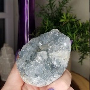 Large Celestite Geode