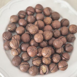 以下が含まれることがあります： 白い縁の装飾が施されたお皿に、茶色のマカダミアナッツがたくさん盛られています。ナッツは丸い形で、真ん中に黒い線が入っています。1つのナッツは開いており、中身が見えています。
