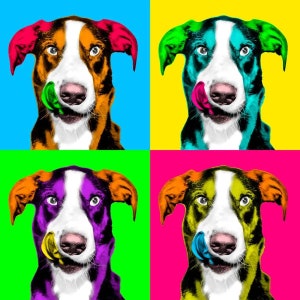 Aangepaste popart portret, aangepaste hond portret, gepersonaliseerde huisdier popart illustratie, aangepaste Andy Warhol hond, kleurrijke hond portret, wpap kunst