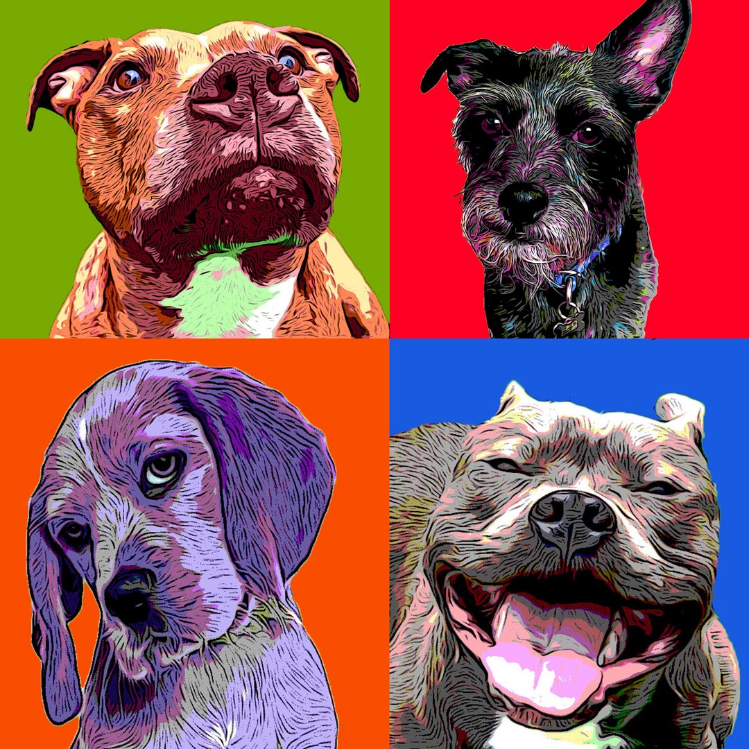 pop-art-dog-free-stock-photo-public-domain-pictures