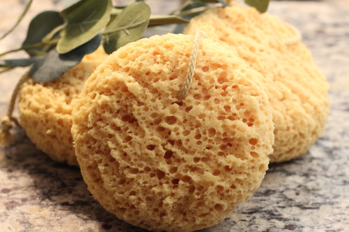 Esponja de mar de espuma / esponja de baño / accesorios de | Etsy