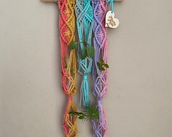 Rainbow Macrame Propagation Station: Botanical Wall Art with Glass Tubes